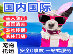 揭阳潮汕航空快运国际宠物托运 【国
